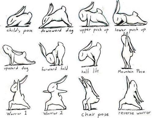 BunnyYoga